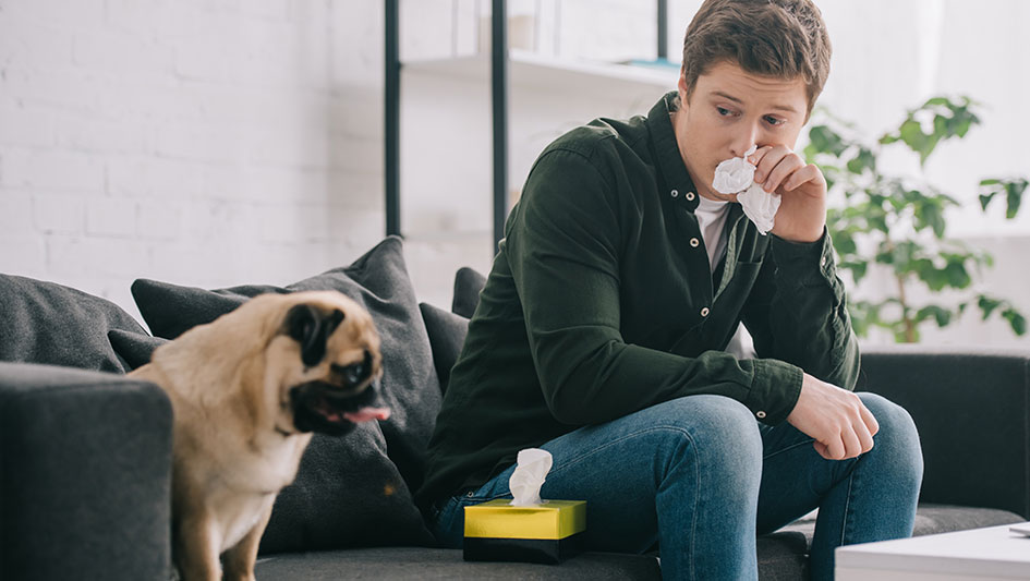 Purchasing an air purifier is one of the top methods to improve your home’s indoor air quality. Find out more about the three best solutions. 